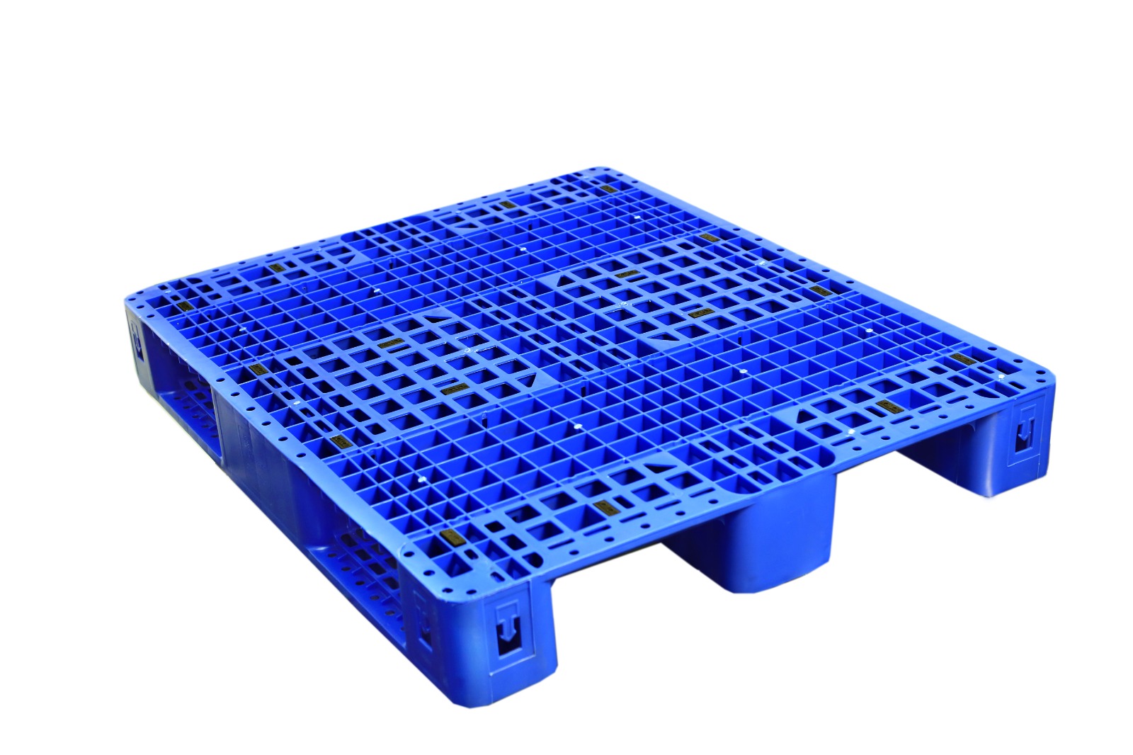 WhatsApp Image 2025-07-21 at 11.55.01 AM