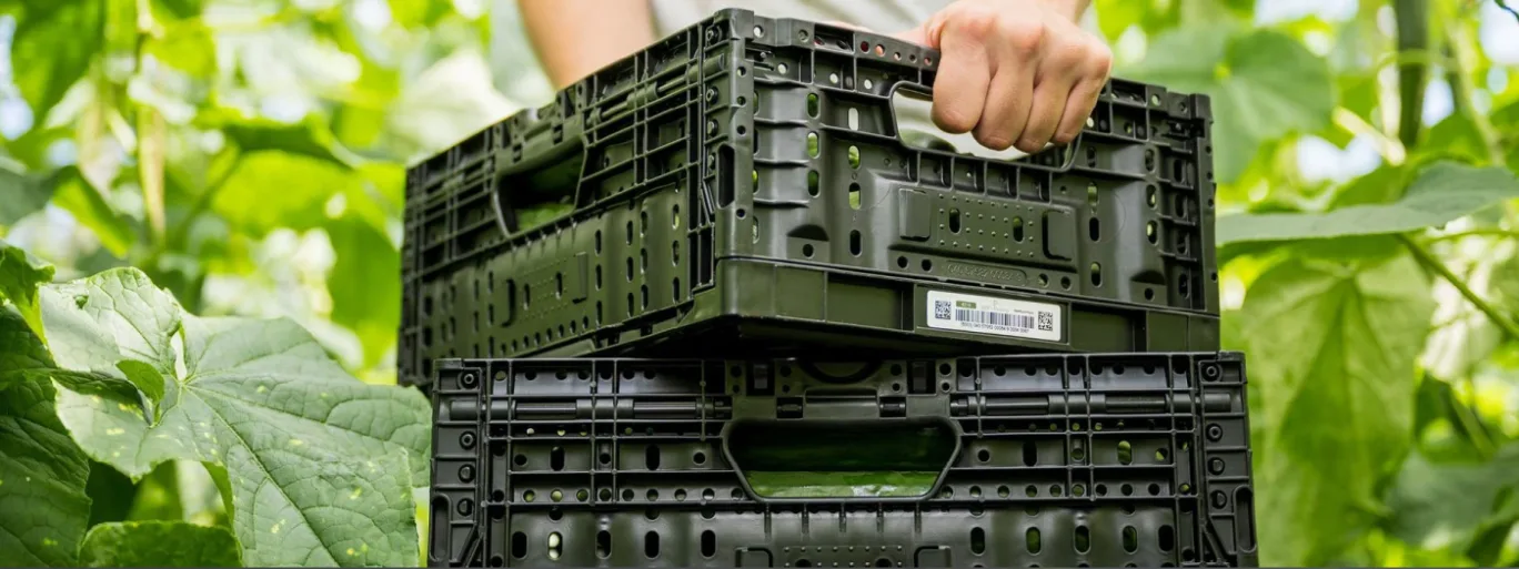 eco-friendly-plastic-pallet-nature_p4e11e_c_scale,w_1368